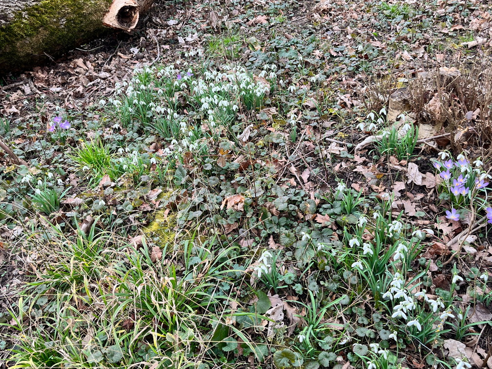 23-02-18 15-10-53 4265